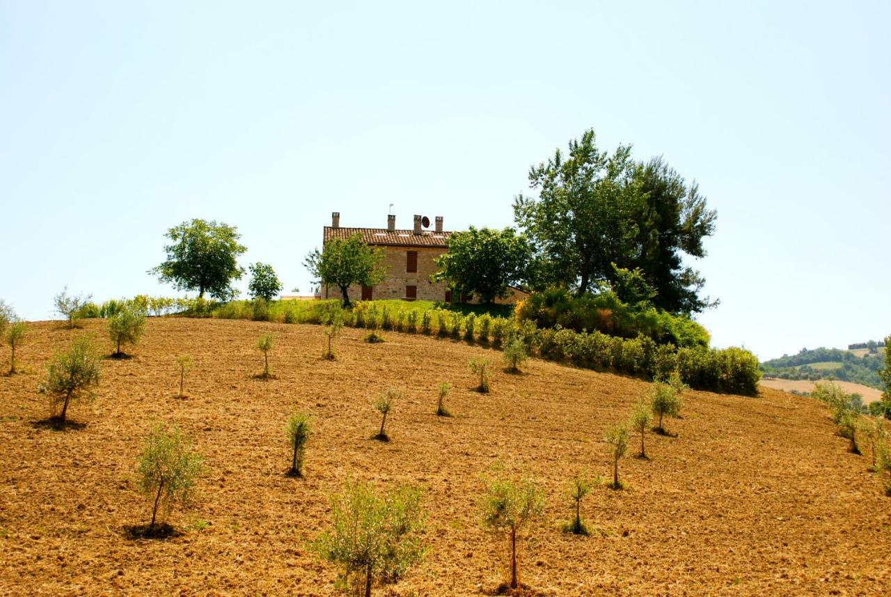 Il Casale Di Giovanna Offida Exterior foto